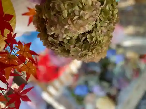 札幌諏訪神社の手水舎