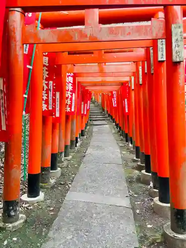 佐助稲荷神社の鳥居