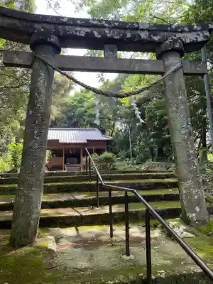 知賀王神社の{uncategorized: "未分類", other: "その他", undefined: "問題あり", building: "その他建物", grave: "お墓", sacred_gate: "鳥居", guardian: "狛犬", statue: "像", buddha: "仏像", history: "歴史", nature: "自然", garden: "庭園", animal: "動物", pagoda: "塔", temizu: "手水舎", mountain_gate: "山門・神門", sanctuary: "本殿・本堂", subordinate: "末社・摂社", art: "芸術", scenery: "景色", jizo: "地蔵", ema: "絵馬", goshuin: "御朱印", omikuji: "おみくじ", items: "授与品その他", amulet: "お守り", goshuincho: "御朱印帳", eats: "食事", festival: "お祭り", votive_dance: "神楽", shichigosan: "七五三参", wedding: "結婚式", experience: "体験その他", initially: "初詣", around: "周辺", anti_infection: "感染症対策"}