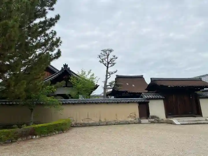 北室院の{uncategorized: "未分類", other: "その他", undefined: "問題あり", building: "その他建物", grave: "お墓", sacred_gate: "鳥居", guardian: "狛犬", statue: "像", buddha: "仏像", history: "歴史", nature: "自然", garden: "庭園", animal: "動物", pagoda: "塔", temizu: "手水舎", mountain_gate: "山門・神門", sanctuary: "本殿・本堂", subordinate: "末社・摂社", art: "芸術", scenery: "景色", jizo: "地蔵", ema: "絵馬", goshuin: "御朱印", omikuji: "おみくじ", items: "授与品その他", amulet: "お守り", goshuincho: "御朱印帳", eats: "食事", festival: "お祭り", votive_dance: "神楽", shichigosan: "七五三参", wedding: "結婚式", experience: "体験その他", initially: "初詣", around: "周辺", anti_infection: "感染症対策"}