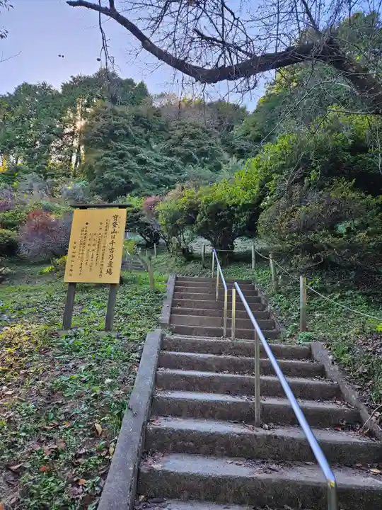 宝登山神社奥宮(埼玉県)