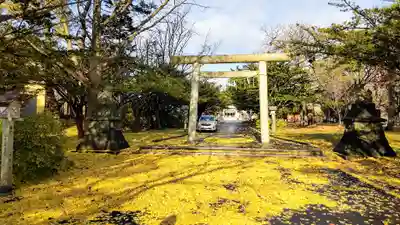 中嶋神社の鳥居