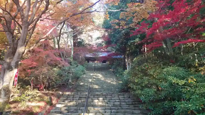 室生寺(奈良県)