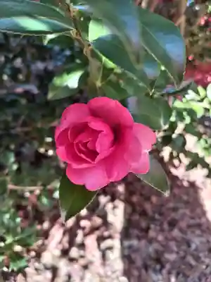 神炊館神社 ⁂奥州須賀川総鎮守⁂(福島県)