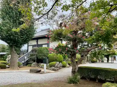 光了寺(茨城県)