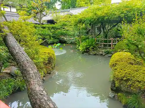 雲心寺の庭園