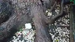 三輪神社の建物その他