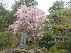 今熊野観音寺(京都府)