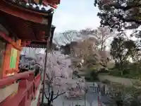 瀧泉寺(目黒不動尊)(東京都)