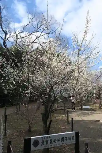 意賀美神社(大阪府)