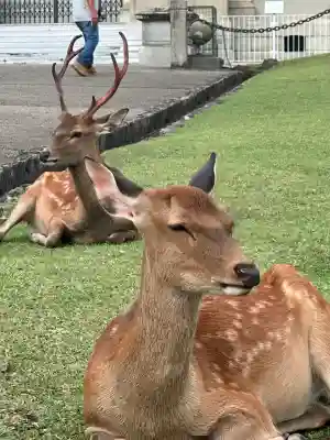 興福寺(奈良県)