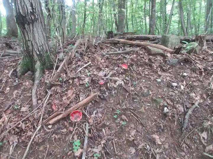 遍照寺(埼玉県)