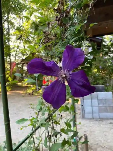 岡部春日神社～👹鬼門よけの🌺花咲く🌺やしろ～(福島県)