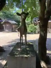 愛知県高浜市春日神社の狛犬