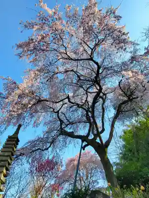 上合寺(福島県)