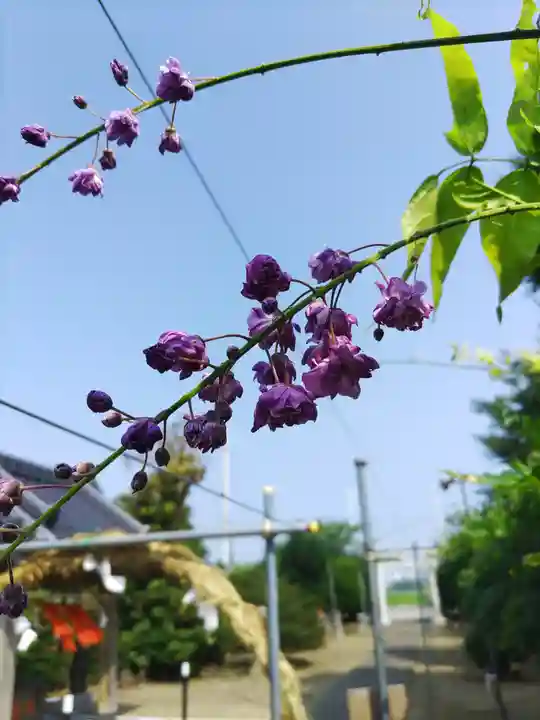 四天木稲生神社(千葉県)