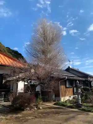 千手院のその他建物