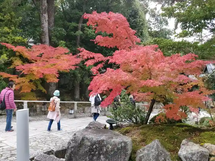 知恩院の{uncategorized: "未分類", other: "その他", undefined: "問題あり", building: "その他建物", grave: "お墓", sacred_gate: "鳥居", guardian: "狛犬", statue: "像", buddha: "仏像", history: "歴史", nature: "自然", garden: "庭園", animal: "動物", pagoda: "塔", temizu: "手水舎", mountain_gate: "山門・神門", sanctuary: "本殿・本堂", subordinate: "末社・摂社", art: "芸術", scenery: "景色", jizo: "地蔵", ema: "絵馬", goshuin: "御朱印", omikuji: "おみくじ", items: "授与品その他", amulet: "お守り", goshuincho: "御朱印帳", eats: "食事", festival: "お祭り", votive_dance: "神楽", shichigosan: "七五三参", wedding: "結婚式", experience: "体験その他", initially: "初詣", around: "周辺", anti_infection: "感染症対策"}
