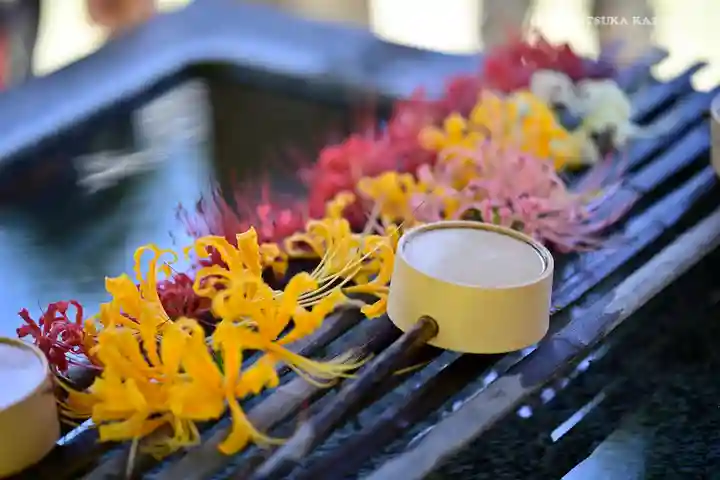 横浜 西方寺の手水舎