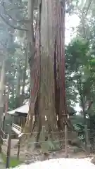 鷲子山上神社の自然