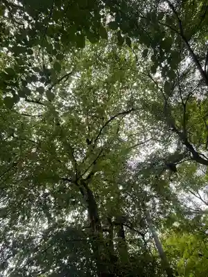 竜神宮(栃木県)