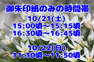 くまくま神社(導きの社 熊野町熊野神社)(東京都) 2023年10月21日(土)〜(2023年10月20日(金) 19時07分24秒投稿)