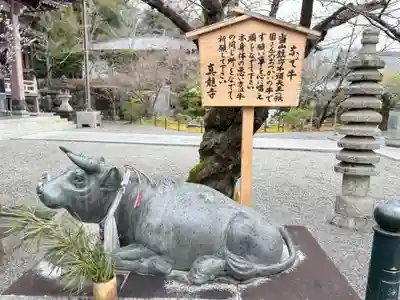 真龍寺(大阪府)