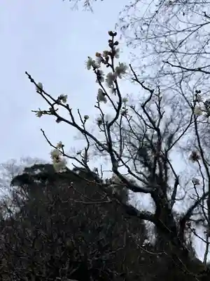 成田山新勝寺(千葉県)