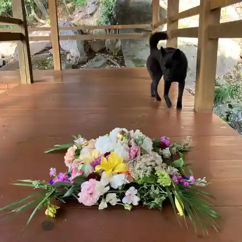 定林山　能成寺の動物