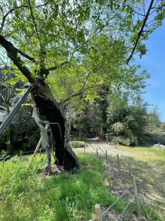諏訪神社(群馬県)