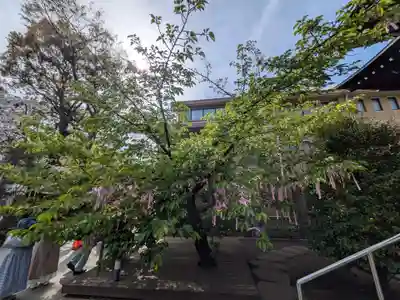 桜神宮(東京都)