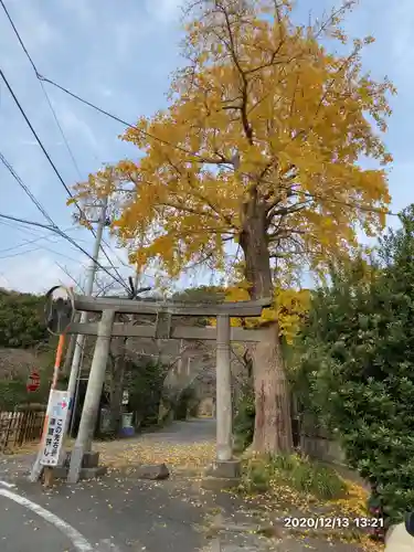 白岩神社の鳥居