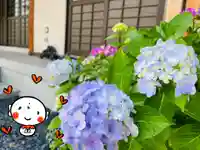 松本山 地福禅寺の自然