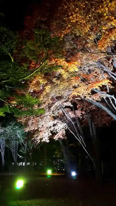北広島市総鎮守 廣島神社のお祭り