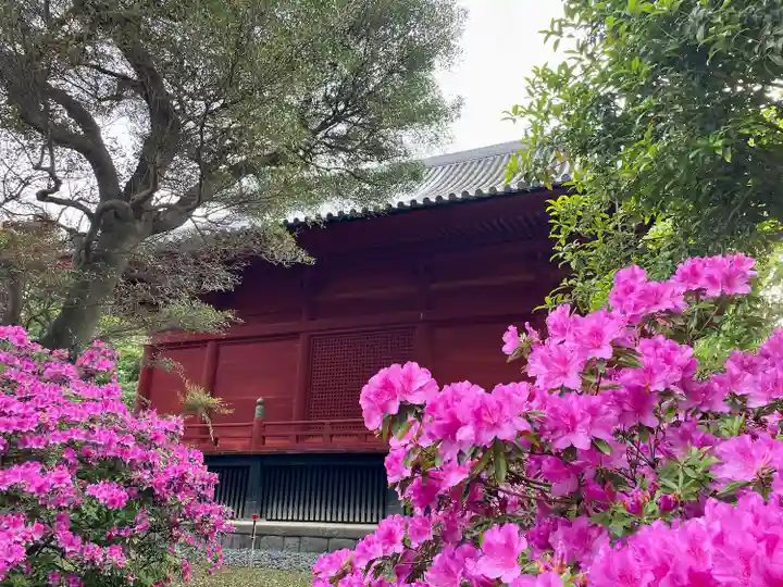 清水観音堂(東京都)