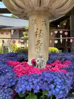 三室戸寺(京都府)