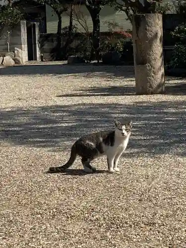 荘嚴浄土寺(大阪府)