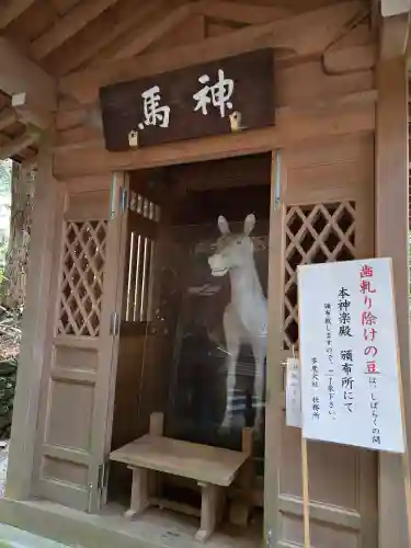 多度大社(三重県)