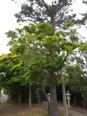 西之宮大神宮の庭園