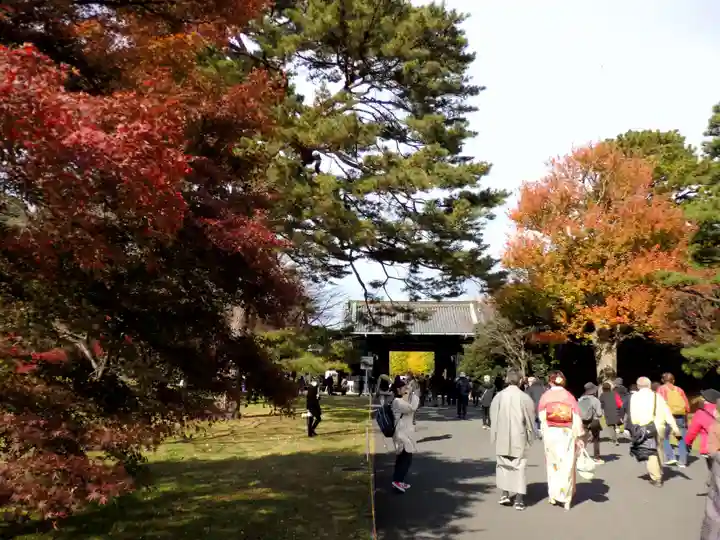 明治神宮(東京都)
