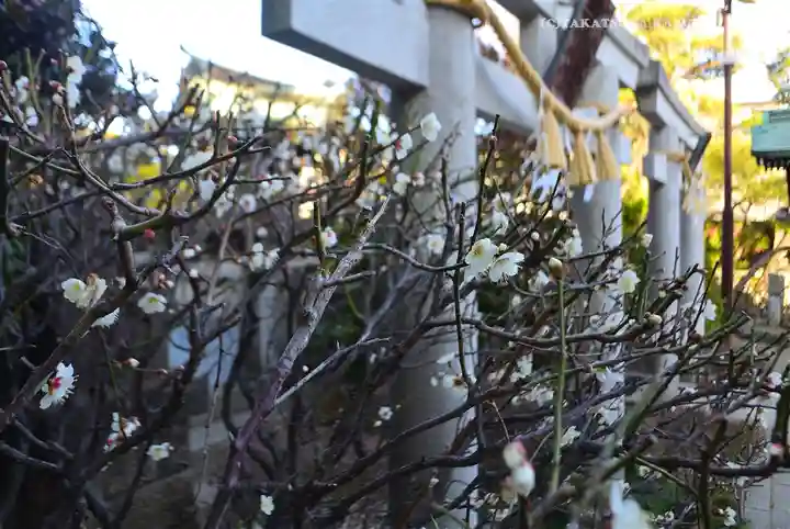 薭田神社(東京都)