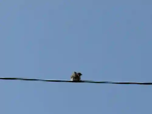 西方山極楽寺(岐阜県)