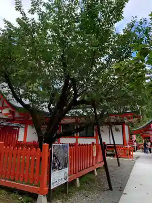 金櫻神社(山梨県)