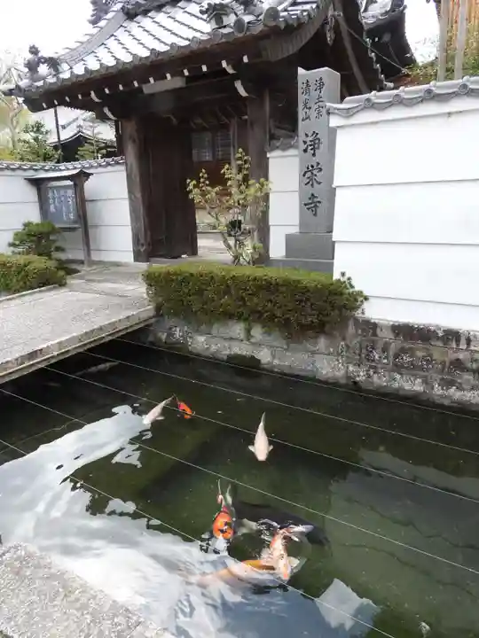浄栄寺(滋賀県)