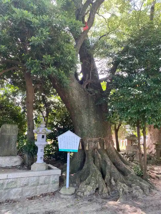 指出森神社(大阪府)