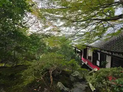 霊鑑寺門跡(京都府)