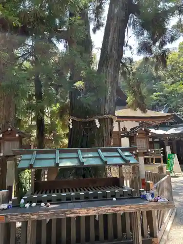 大神神社(奈良県)