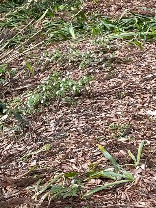 国上寺(新潟県)