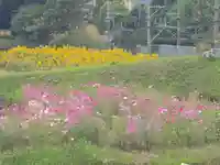 安楽寺(大阪府)