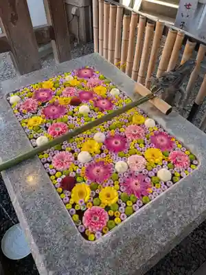 高円寺氷川神社(東京都)